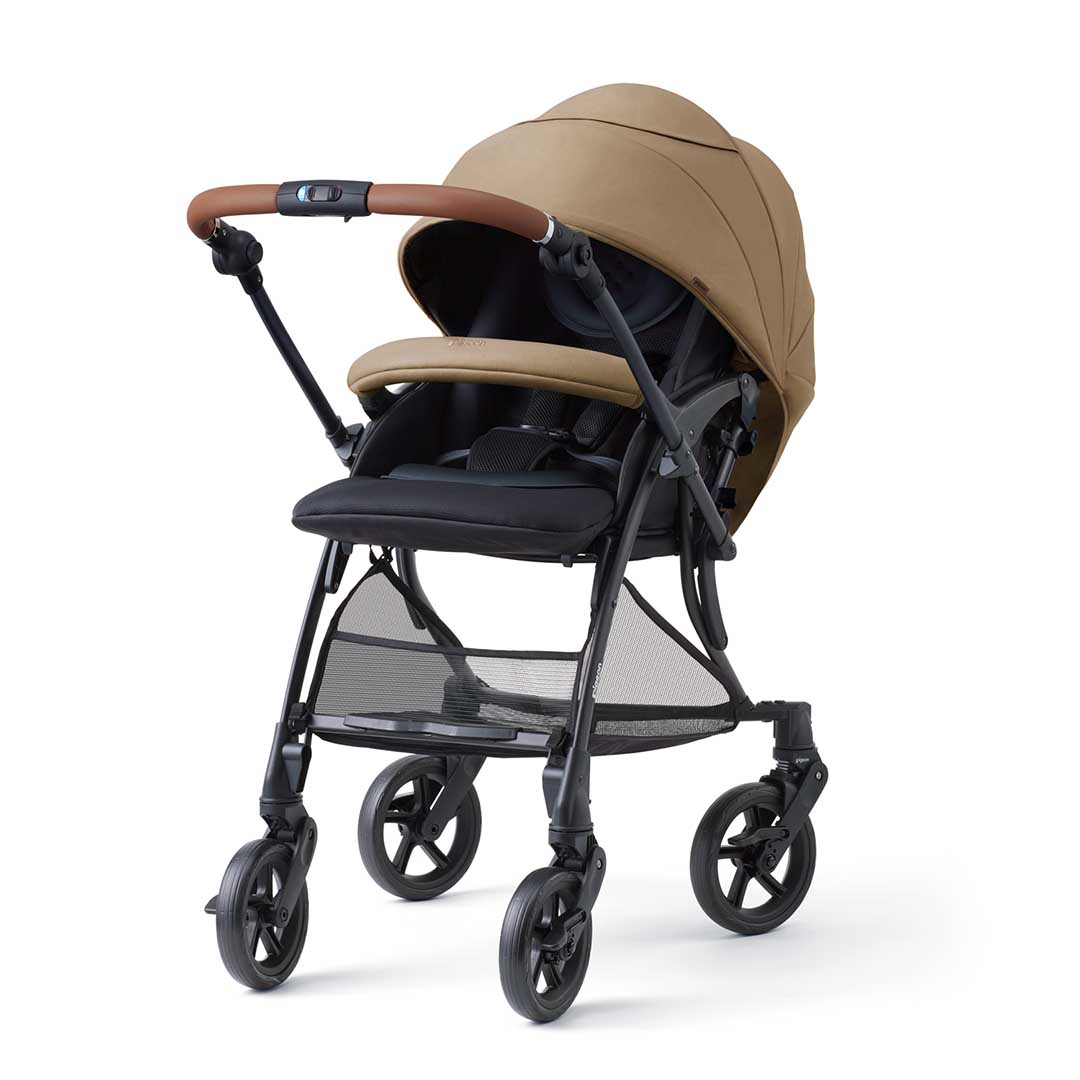 ピジョンランフィ_メイン