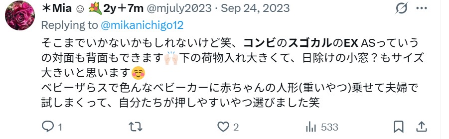 コンビスゴカルSwitch_グッドコメント_エックス