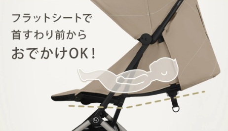 サイベックスオルフェオ＿使用可能期間