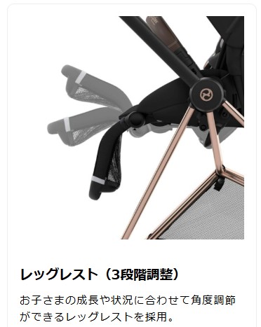 サイベックスミオス_レッグレスト