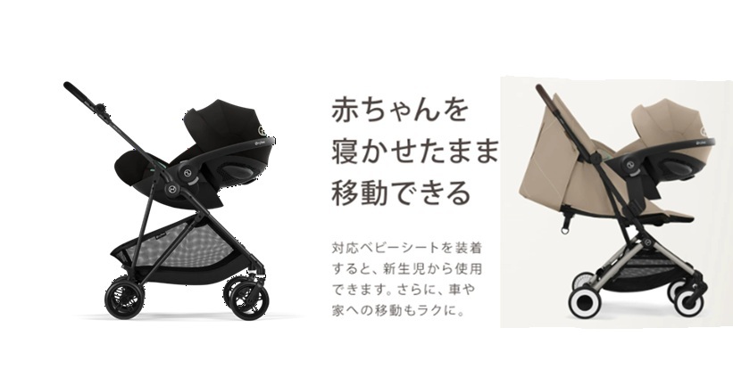 サイベックスメリオカーボンオルフェオ＿トラベルシステム