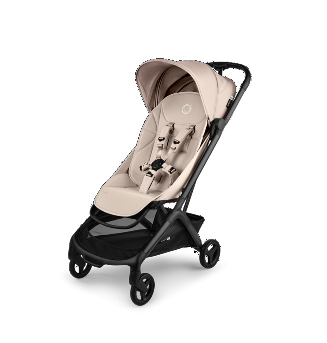 バガブーバタフライ_メイン