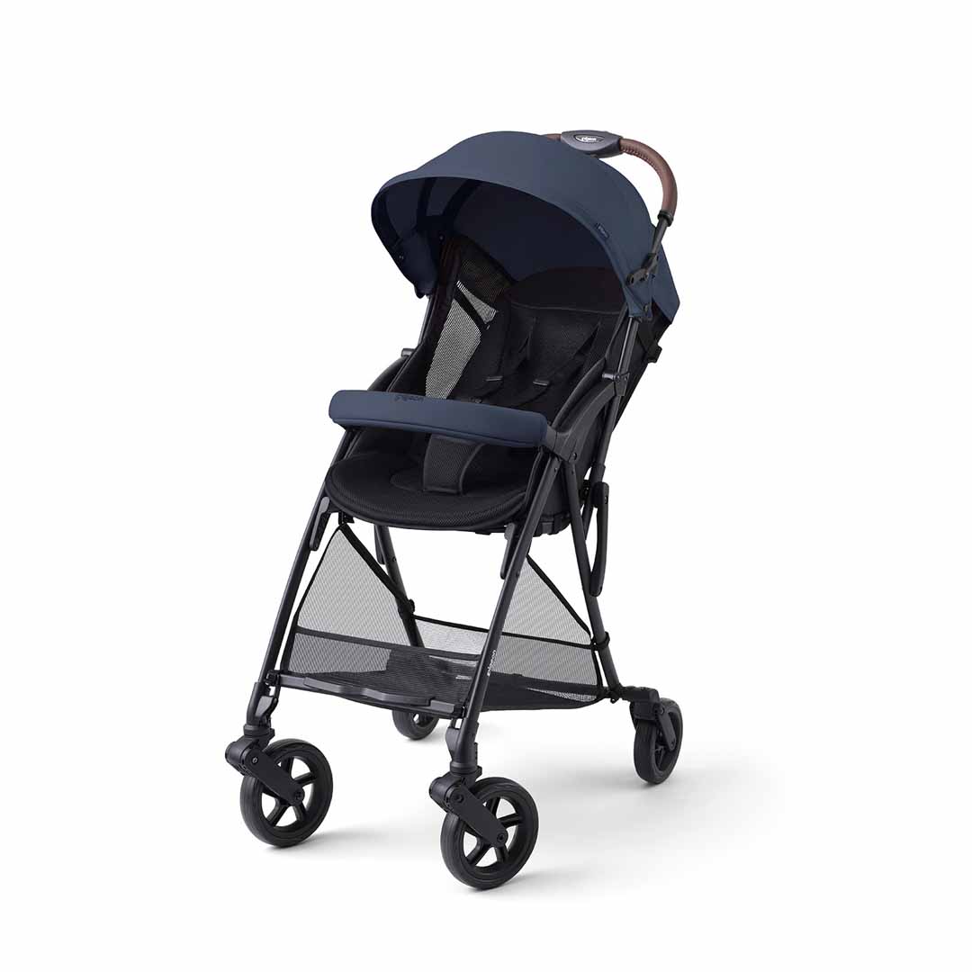 ピジョンビングル＿メイン