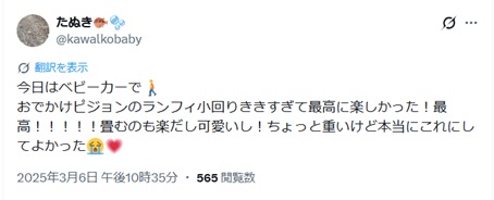 ピジョンランフィ_いいコメ