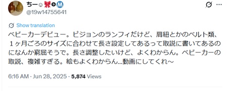 ピジョンランフィ_だめコメ