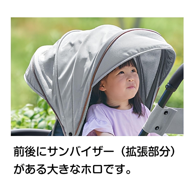 2-Seater_キャノピー