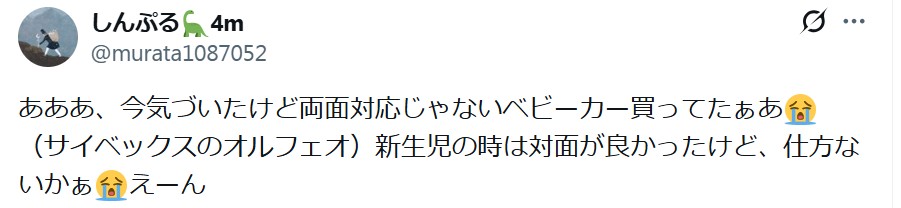 サイベックスオルフェオ2025_バッドコメント