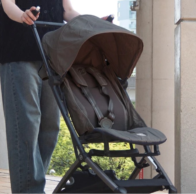 サイベックスリベル_キャノピー