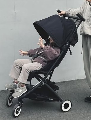 サイベックスリベル_キャノピー_頭上