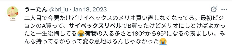 サイベックスリベル_バッドコメント_後悔