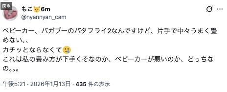 バガブーバタフライ_低評価