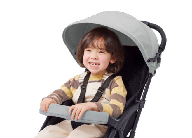 ピジョンビングル_帆