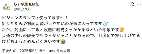 ピジョンランフィ_低評価2