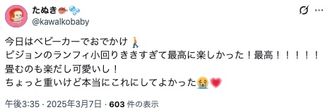 ピジョンランフィ_高評価