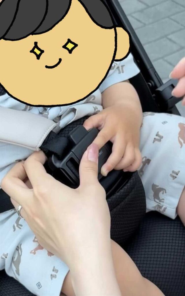 ヴィット_実体験_マグネットバックル