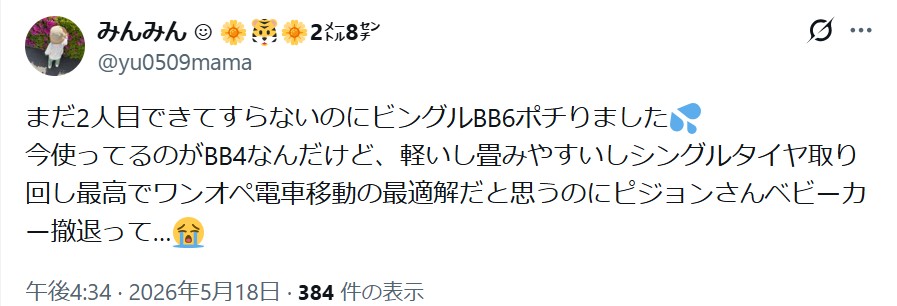 ビングルBB6_バッドコメント