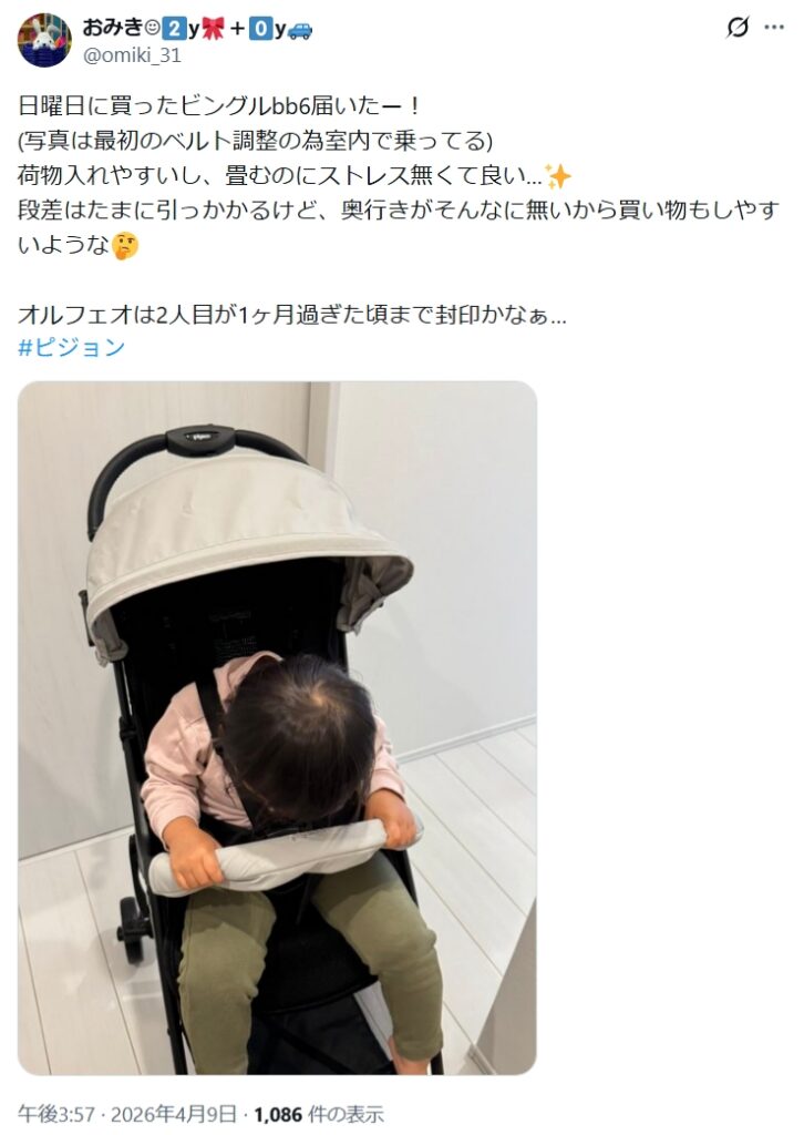 ビングルBB6_否定的なレビュー