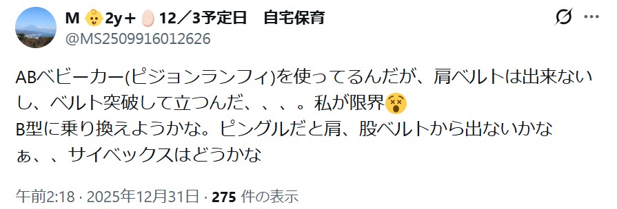 ピジョンランフィ_バッドコメント
