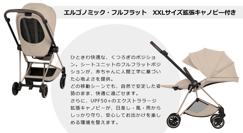 サイベックスミオス2026_キャノピー