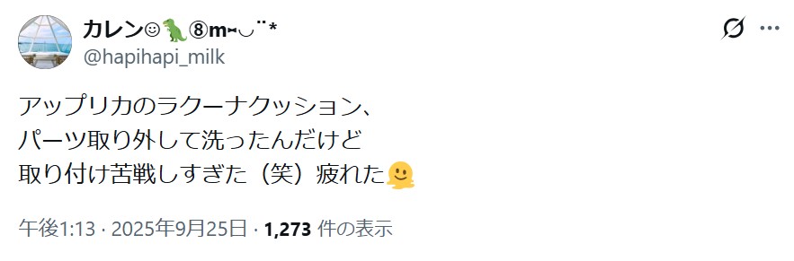 ラクーナクッション_バッドコメント_洗濯