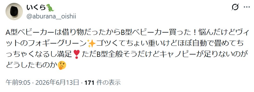 ヴィットAB_バッドコメント_キャノピー