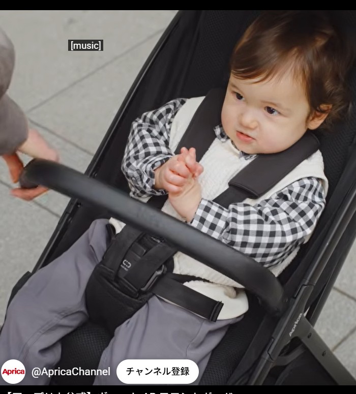 ヴィットAB_片手フロントガード