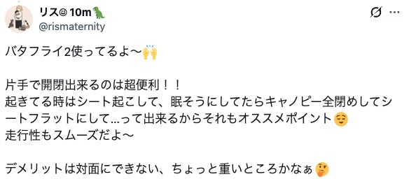 バガブーバタフライ2_snsデメリット