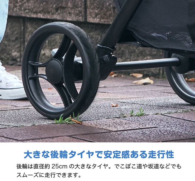 エヴァライトデュオ_後輪